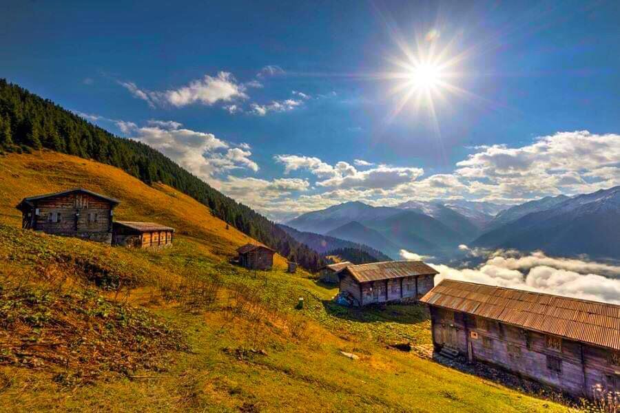 Günübirlik Pokut & Sal Yaylası Turu