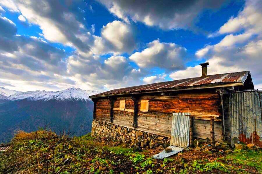 Günübirlik Pokut & Sal Yaylası Turu